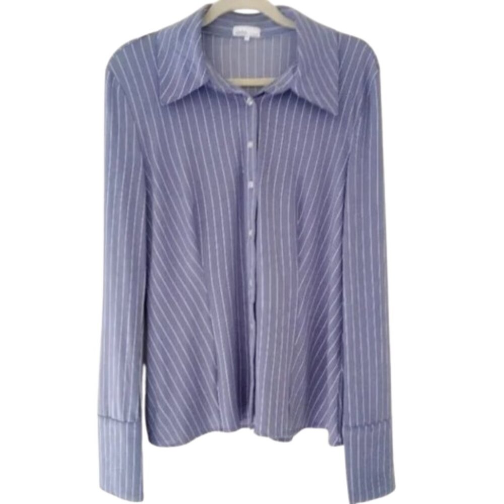 Danielle Bernstein Button Down Pinstripe Top - image 1
